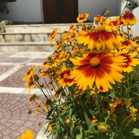 Къща за гости семейна къща “вълчеви”