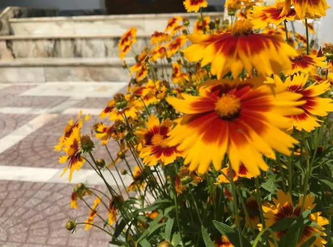 Πανσιόν семейна къща “вълчеви”